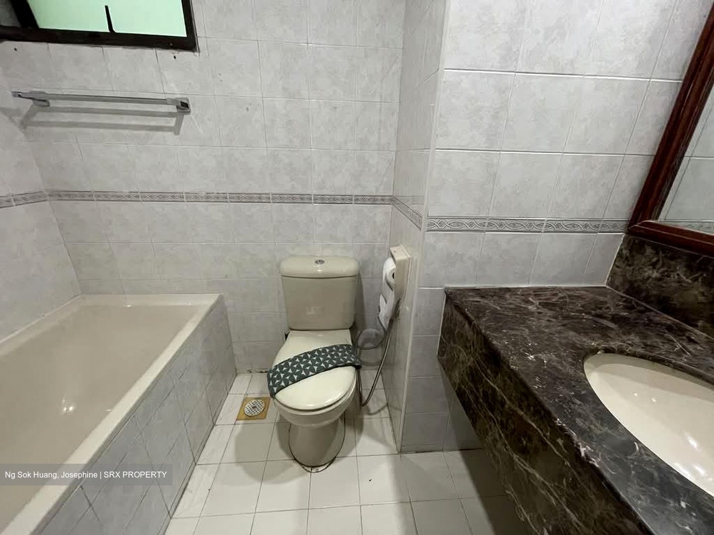 Parc Oasis (D22), Condominium #536581051